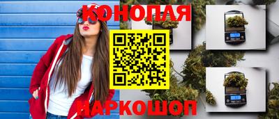 прущая мука Гусев