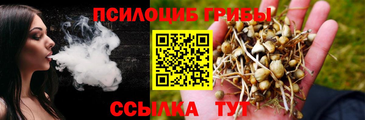 Псилоцибиновые грибы MAGIC MUSHROOMS  Псилоцибиновые грибы Psilocybine cubensis  Вход с VPN  Ногинск 